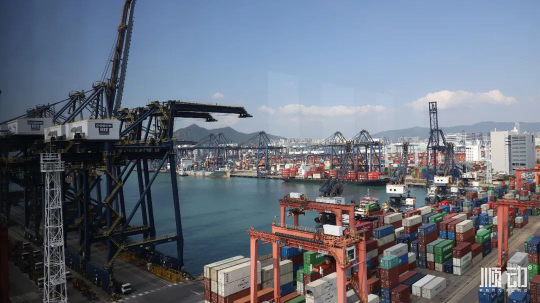 順動(dòng)香港拍攝vlog，體驗(yàn)感滿滿~